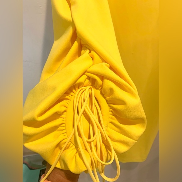 BADGLEY MISCHKA Elegant Blouson Sleeve Day Dress - Picture 4 of 13